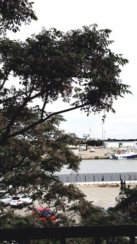 142 santa maria ausblick auf den hafen